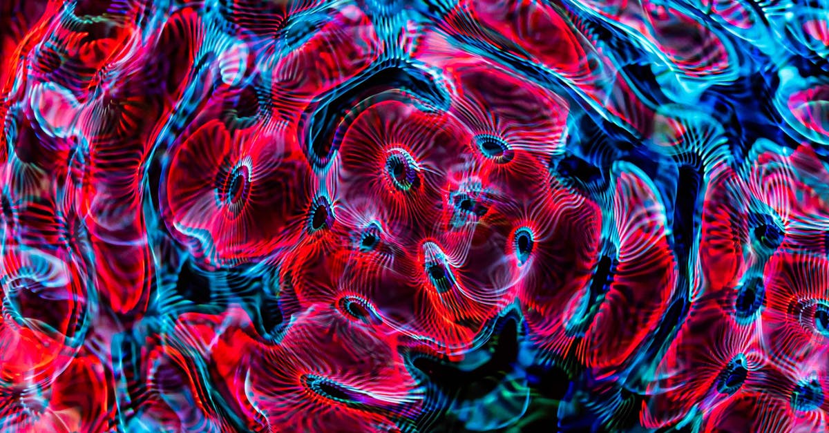 An abstract representation of creativity, such as a colorful light bulb or an imaginative name design.