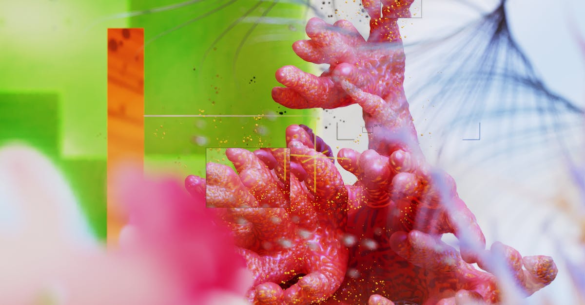 The Art of Naming: Mastering Your Creative Process